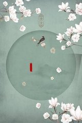 星空乌鸦天美大象果冻免费观看